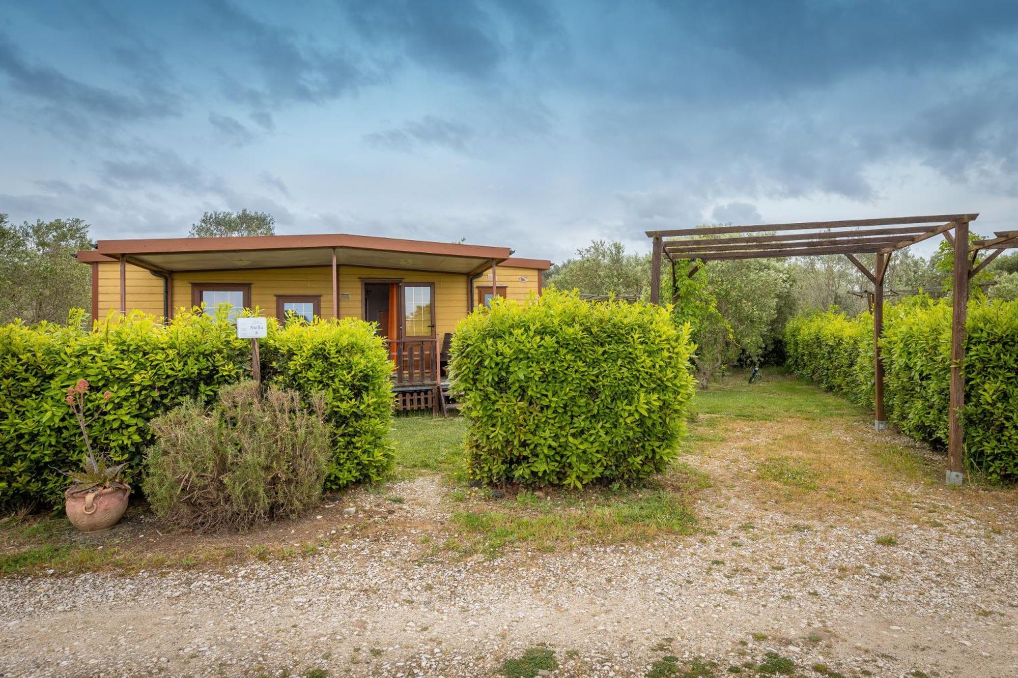 Agriturismo Nonna Stella Bibbona Exterior photo